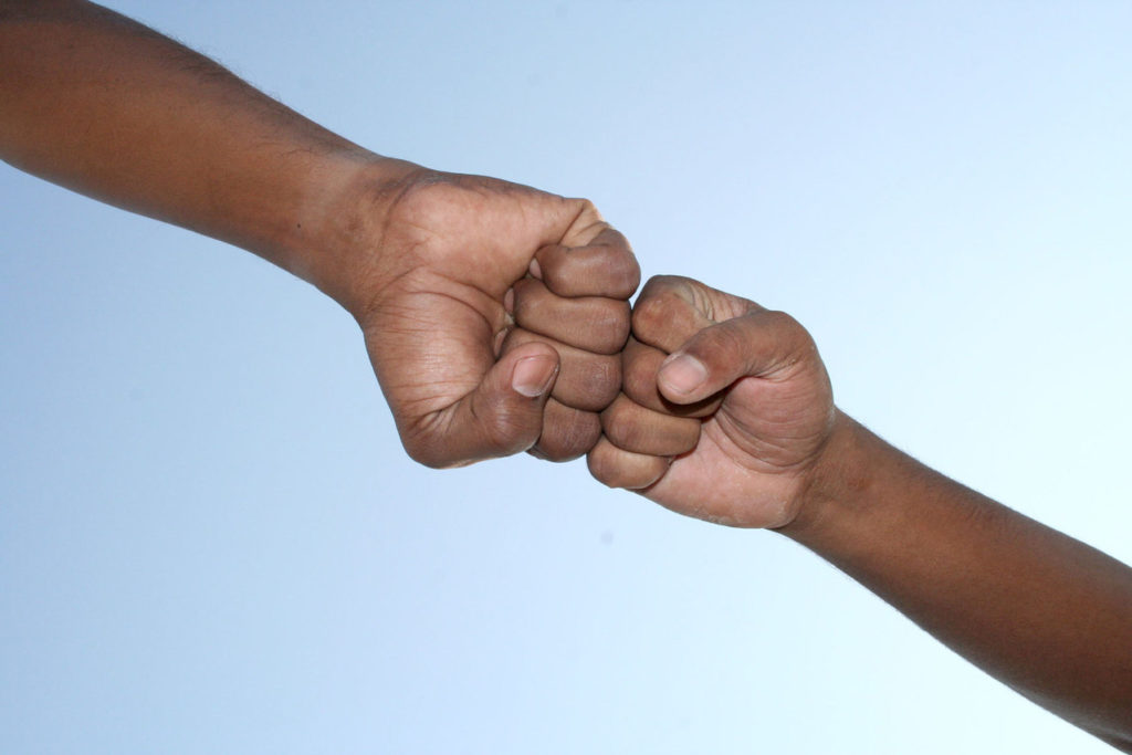 Our Promise To You